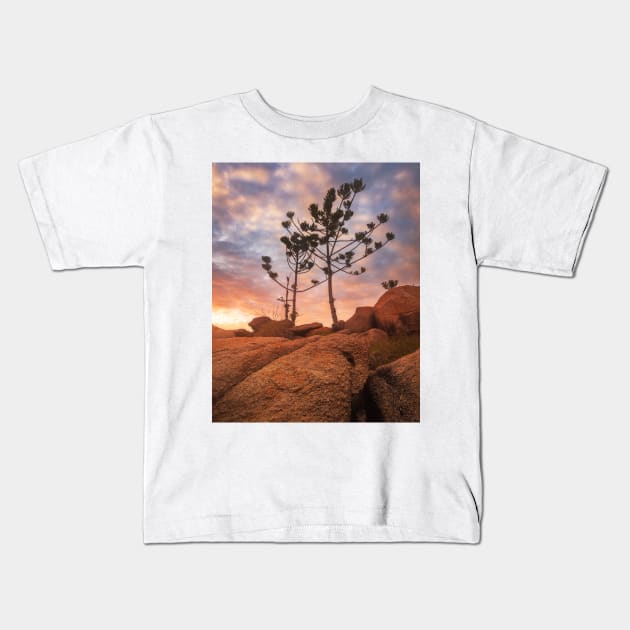 Trees In Light Kids T-Shirt by Geoff79